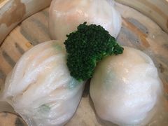 -新兴·金羊座·粤菜点心(乐峰店)