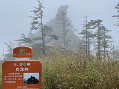 -朱雀国家森林公园