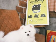 -ABCD咖啡屋(妇幼店)