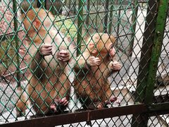 -藏龙百瀑风景区