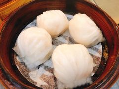 添运来虾饺皇-添运来(茶园奥园广场店)