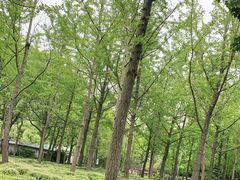-黄兴公园