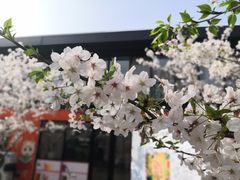 -智慧湾科创园