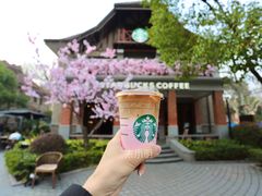 -星巴克臻选(思南公馆店)