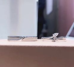 -钻石小鸟钻戒婚戒定制(石路店)