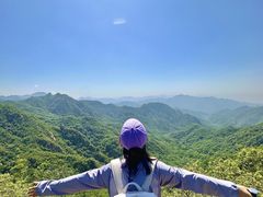 -大岭沟猕猴桃谷风景区