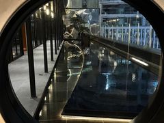 -Hi City·城市之巅