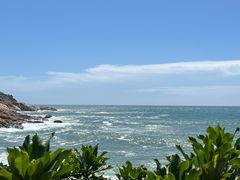 -广东惠东海龟国家级自然保护区