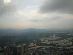 -瑞吉酒店·The Drawing Room闲逸廊·云端下午茶·夜奢Whiskey