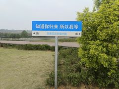 -空港花田景区