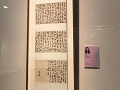-江苏省美术馆(长江路新馆)