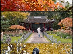 -中山公园