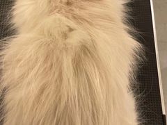 -comecome来吧宠物(奥克斯中心店)