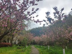 -达蓬山旅游度假区