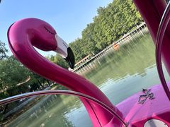 -袁大头包子(光华路店)