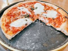 -达拉斯 沃斯堡国际机场