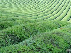 -敬亭山风景名胜区