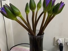 -循礼门鲜花花市(武汉循礼门店)