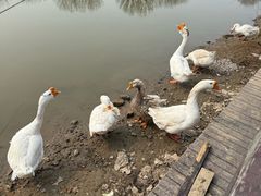 -河北村民俗体验园