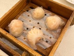 -金翠皇宫粤菜·点心·海鲜(翡翠店)