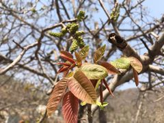 -南窖乡水峪村山情农家