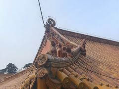 -沈阳市东陵公园