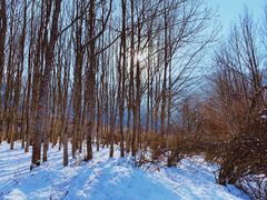 -太子岭滑雪场