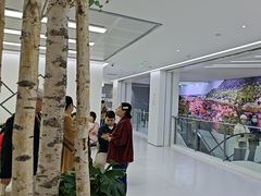-极简口腔(总院)