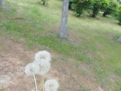 -蒲河岛湿地公园