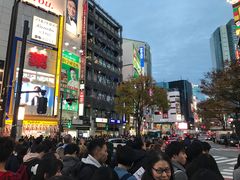 -涩谷全向十字路口