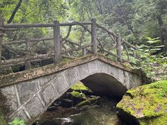 -陕西省红河谷森林公园