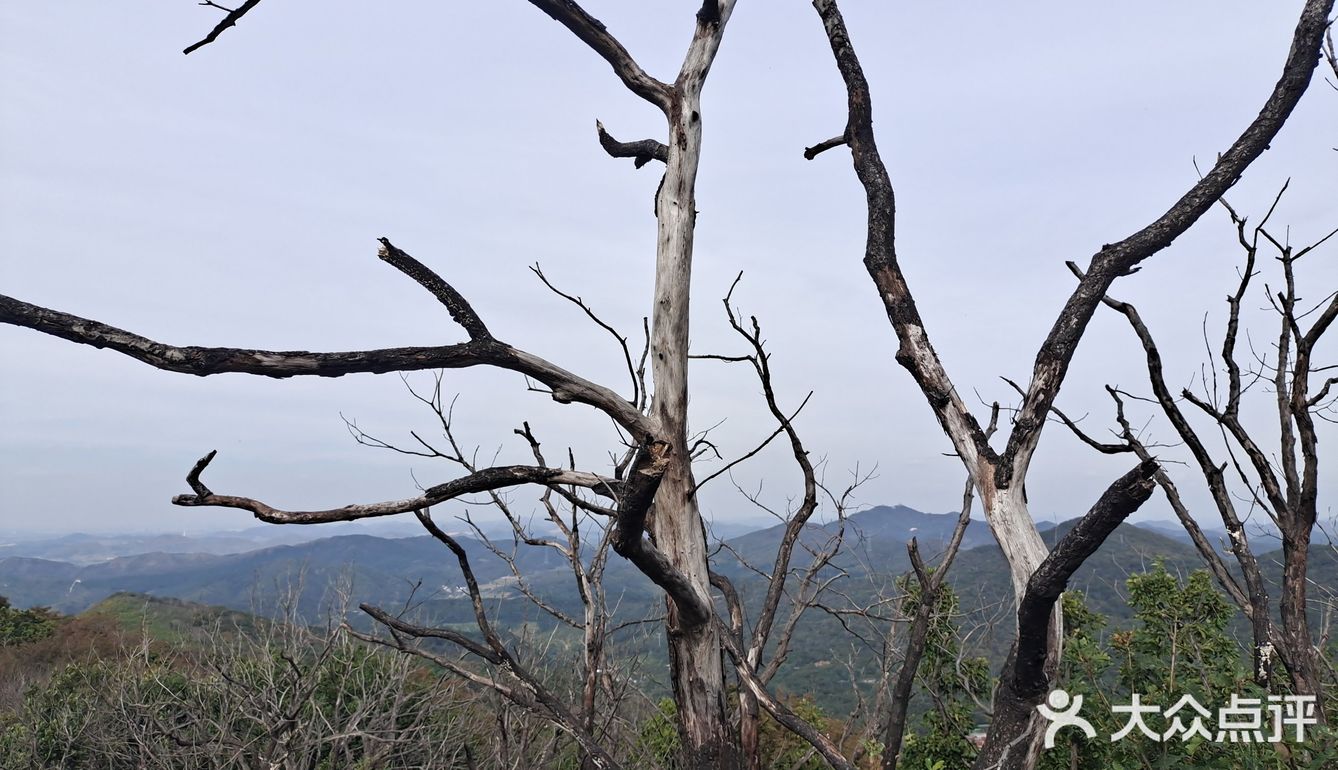 瀋陽國家森林公園石人山