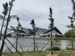 -盐城丹顶鹤湿地生态旅游区