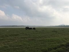-米内日亚国家公园