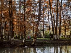 -桤木河湿地公园