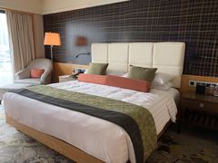 -新加坡文华东方酒店