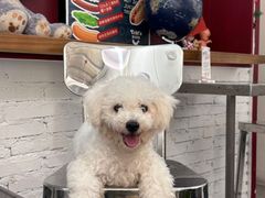 -Eckl’s爱氏热狗(猫街店)