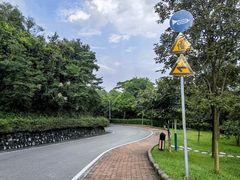 -火炉山森林公园