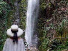 -莫里热带雨林景区