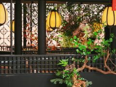 -淮扬府·游园京梦(北京SKP店)