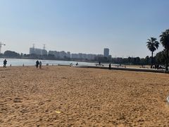 -金沙湖公园