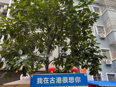 -黄埔古港