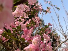 -小米乐儿童之家