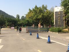 -滴水岩森林公园
