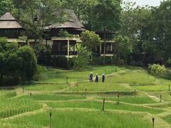 -四季酒店下午茶