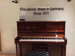 -柏斯音乐艺术中心·钢琴·吉他(世纪金源店)