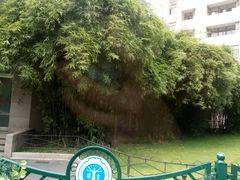 -上海交通大学医学院附属瑞金医院(总院)