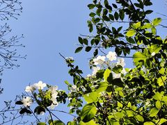 -JACK’S  PLACE 杰克地方(上海路店)