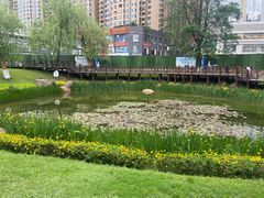 -花果园湿地公园