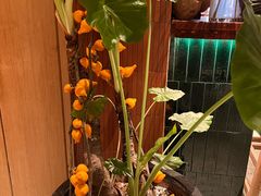 -BOCATA 西班牙餐厅(三里屯店)